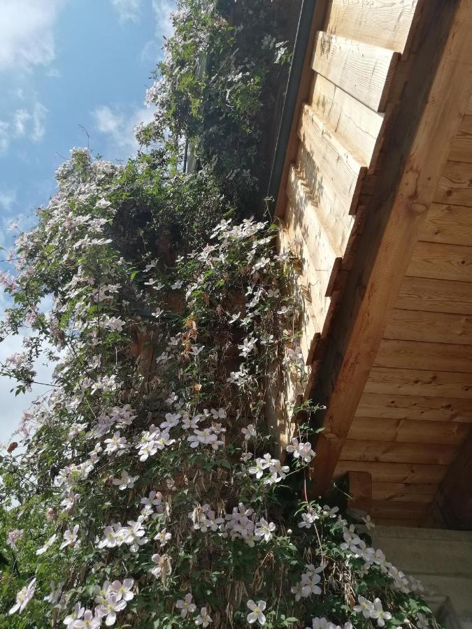 Appartement Seppi Innsbruck Exterior foto